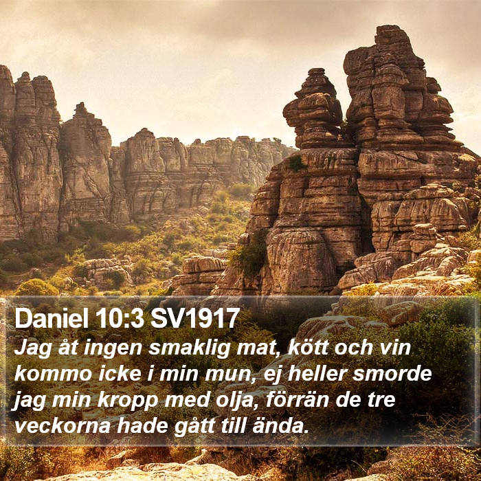 Daniel 10:3 SV1917 Bible Study