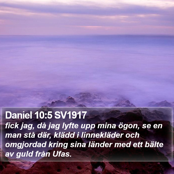 Daniel 10:5 SV1917 Bible Study