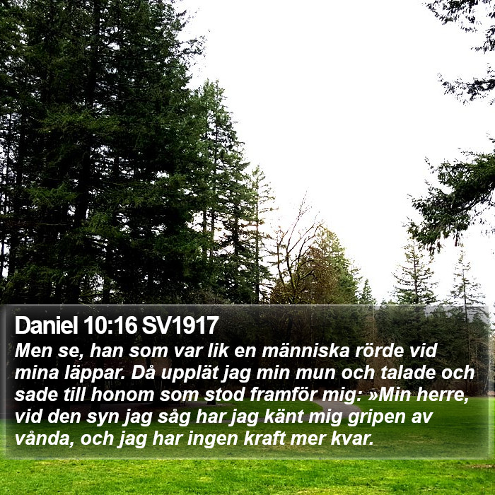 Daniel 10:16 SV1917 Bible Study