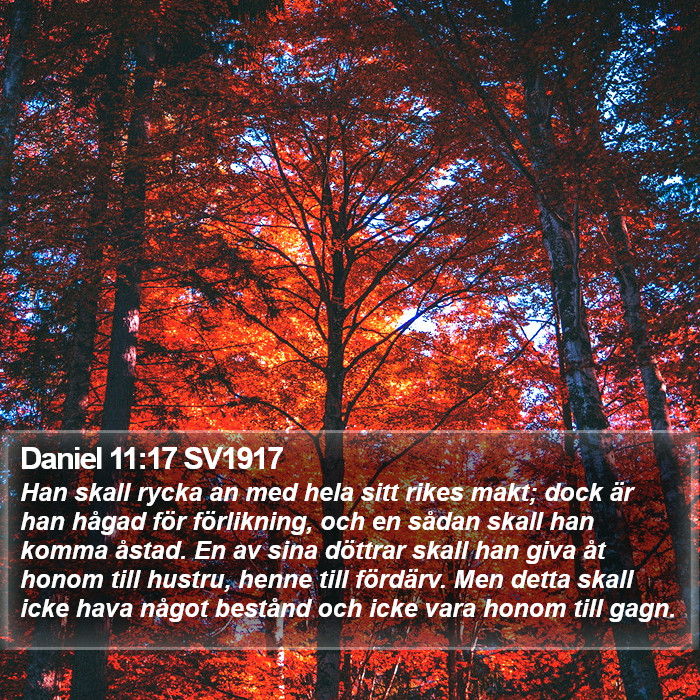 Daniel 11:17 SV1917 Bible Study