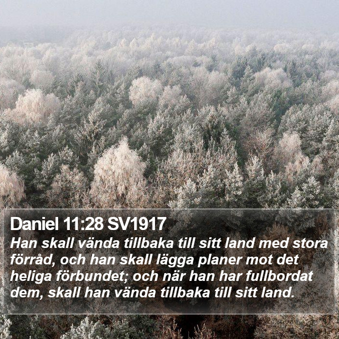 Daniel 11:28 SV1917 Bible Study