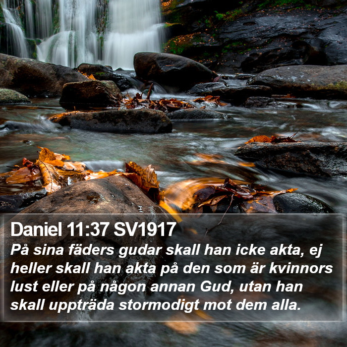 Daniel 11:37 SV1917 Bible Study