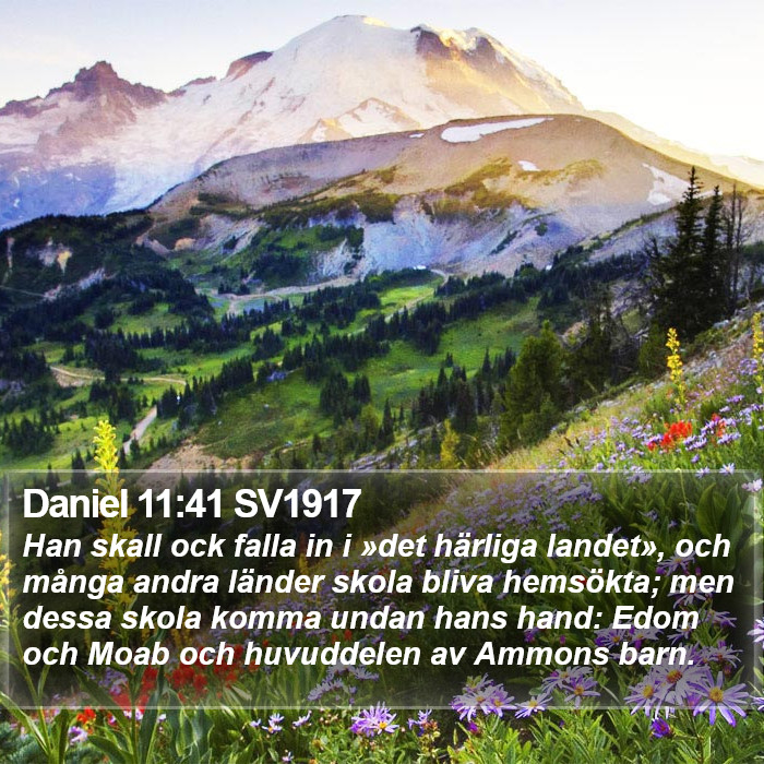 Daniel 11:41 SV1917 Bible Study