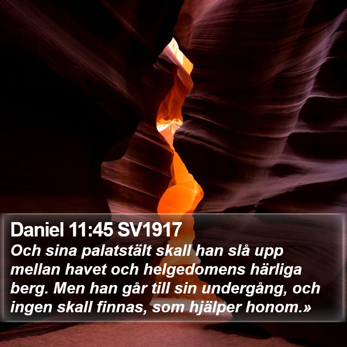 Daniel 11:45 SV1917 Bible Study