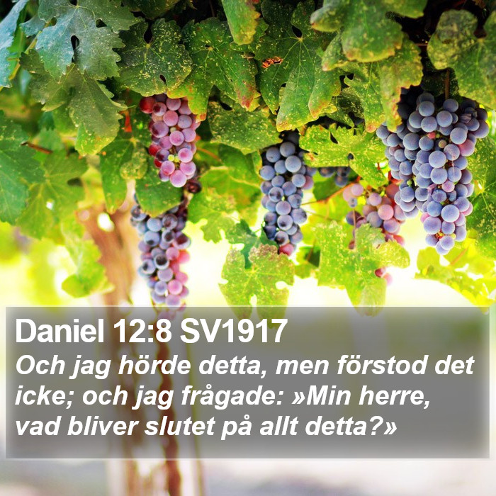 Daniel 12:8 SV1917 Bible Study