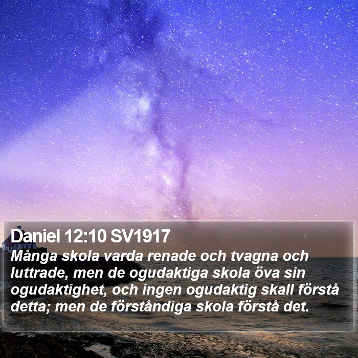 Daniel 12:10 SV1917 Bible Study