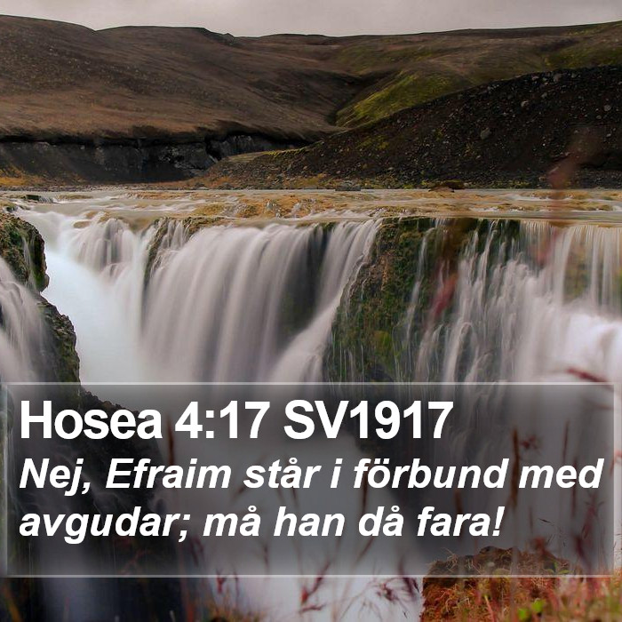 Hosea 4:17 SV1917 Bible Study