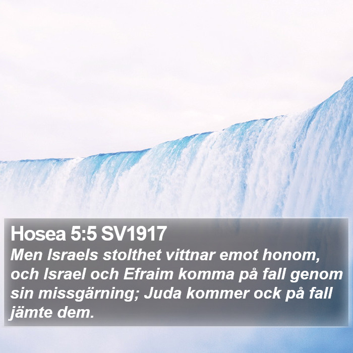 Hosea 5:5 SV1917 Bible Study