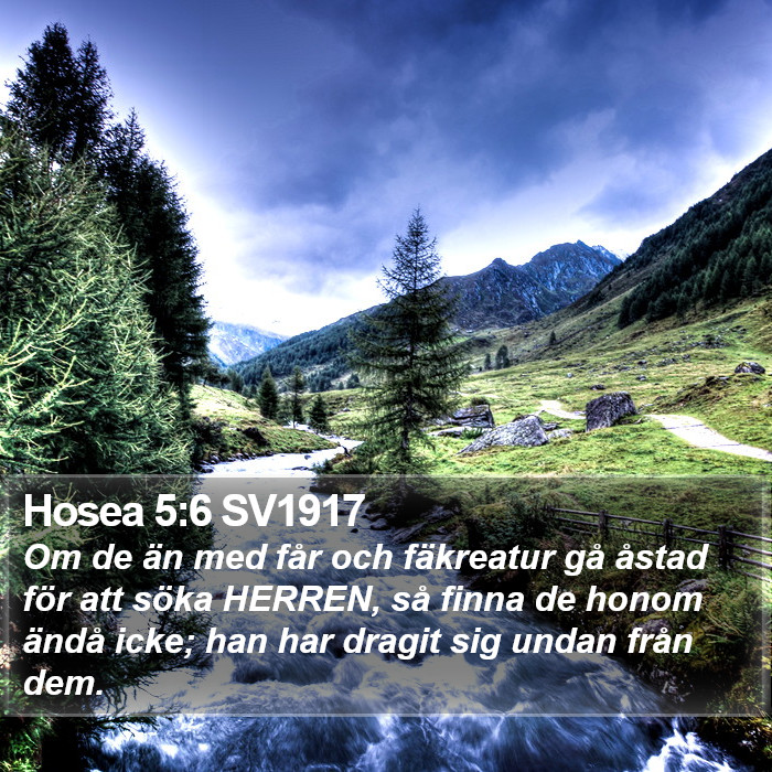 Hosea 5:6 SV1917 Bible Study