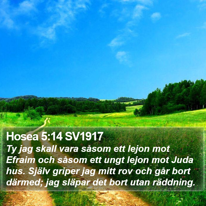 Hosea 5:14 SV1917 Bible Study