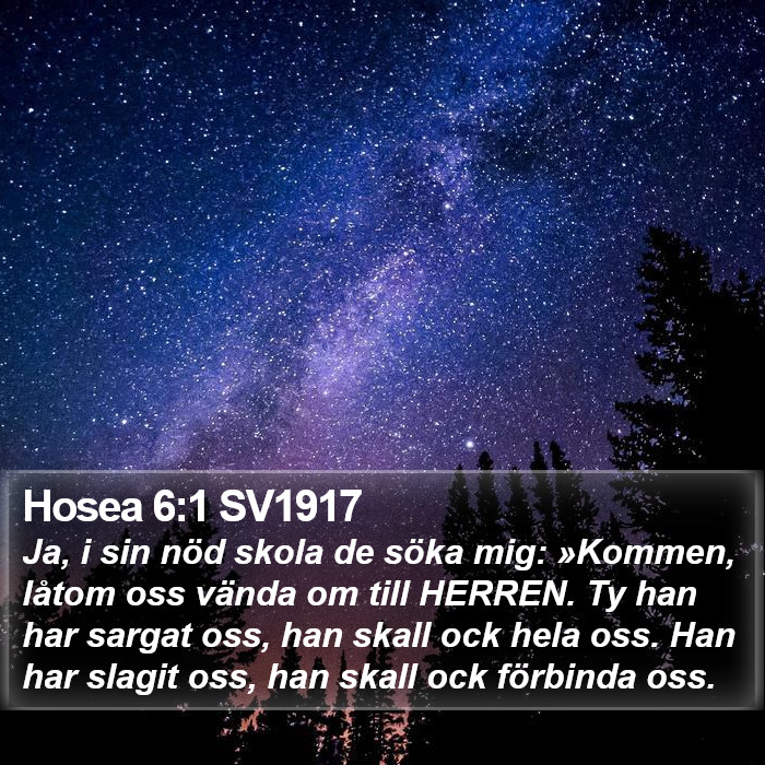 Hosea 6:1 SV1917 Bible Study