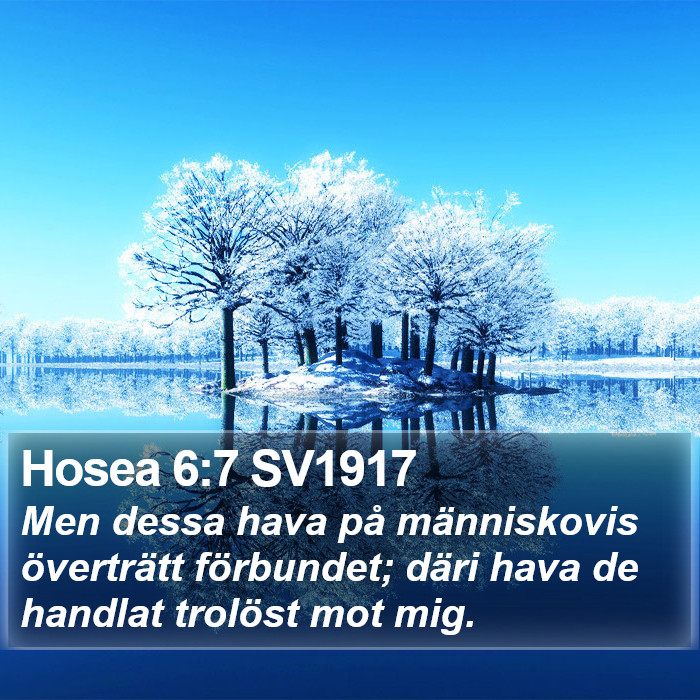 Hosea 6:7 SV1917 Bible Study