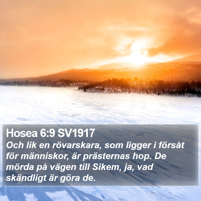 Hosea 6:9 SV1917 Bible Study