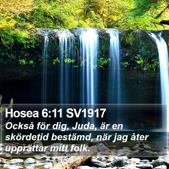 Hosea 6:11 SV1917 Bible Study