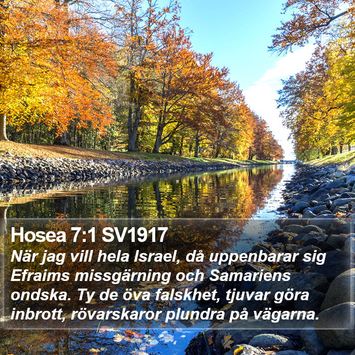 Hosea 7:1 SV1917 Bible Study