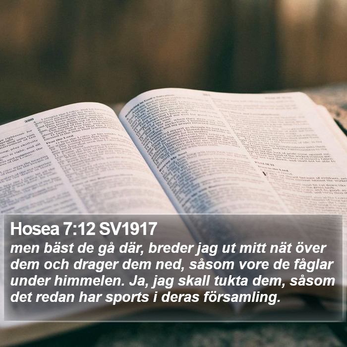 Hosea 7:12 SV1917 Bible Study