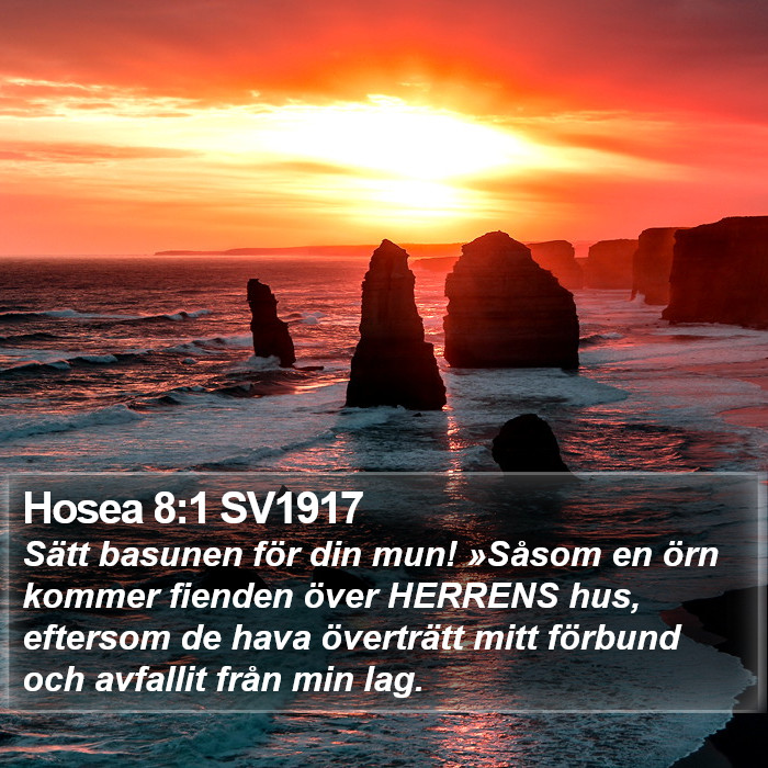 Hosea 8:1 SV1917 Bible Study