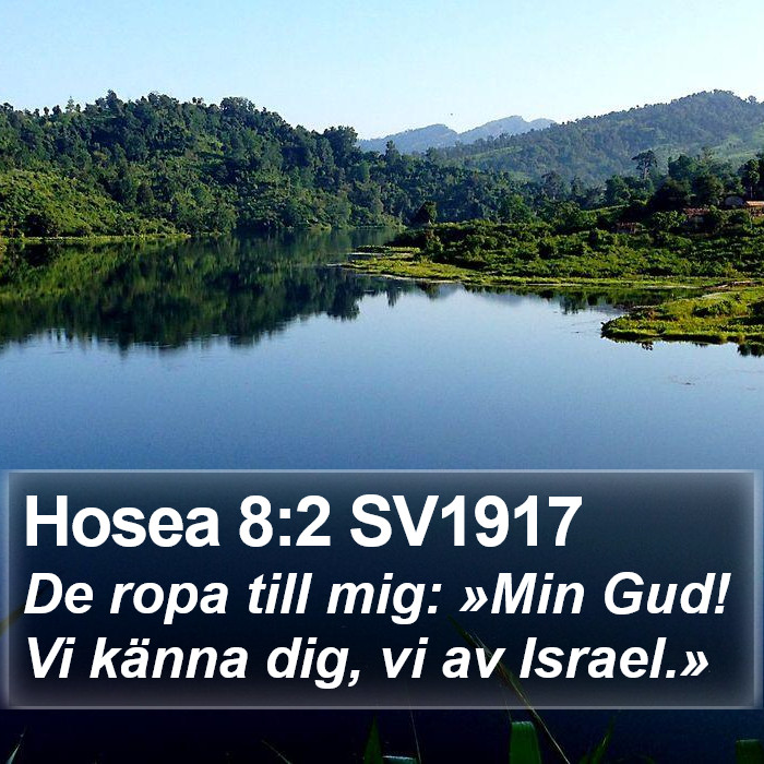 Hosea 8:2 SV1917 Bible Study