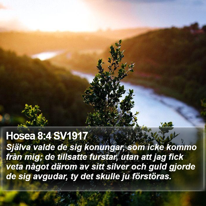 Hosea 8:4 SV1917 Bible Study