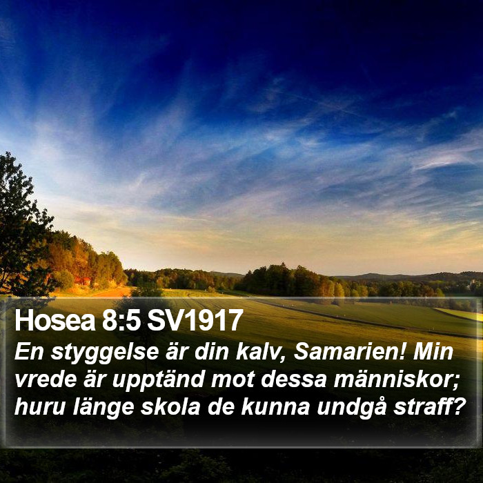 Hosea 8:5 SV1917 Bible Study