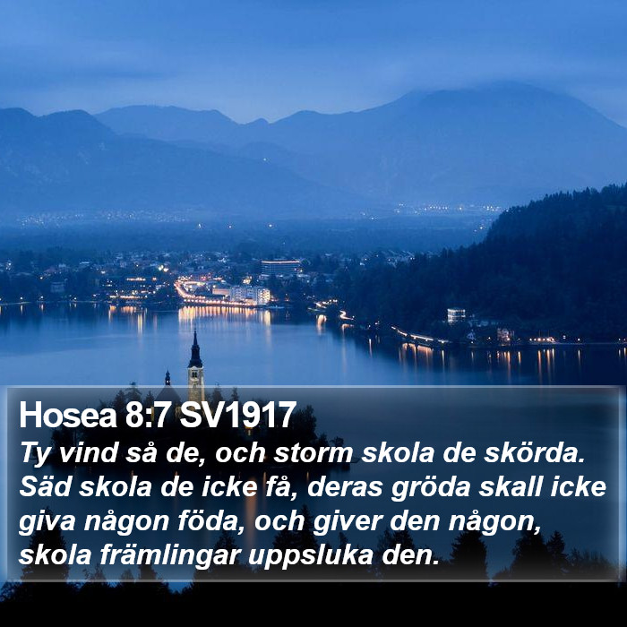 Hosea 8:7 SV1917 Bible Study