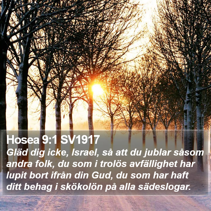 Hosea 9:1 SV1917 Bible Study