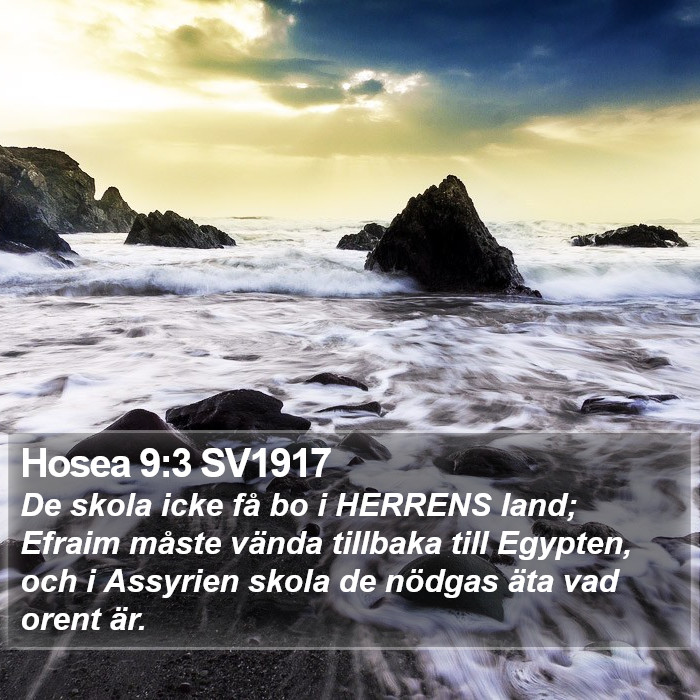 Hosea 9:3 SV1917 Bible Study