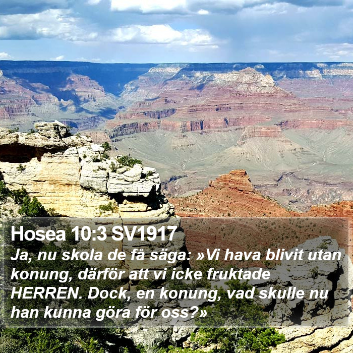 Hosea 10:3 SV1917 Bible Study