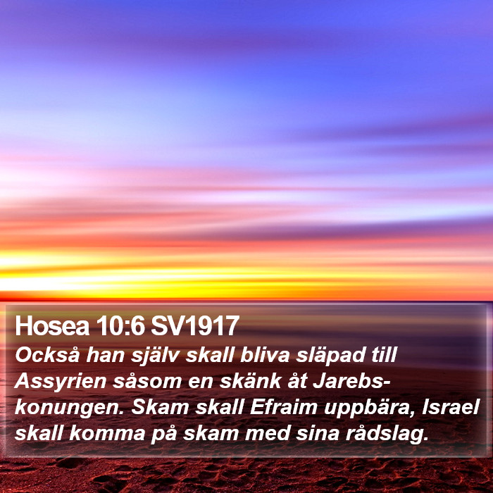 Hosea 10:6 SV1917 Bible Study