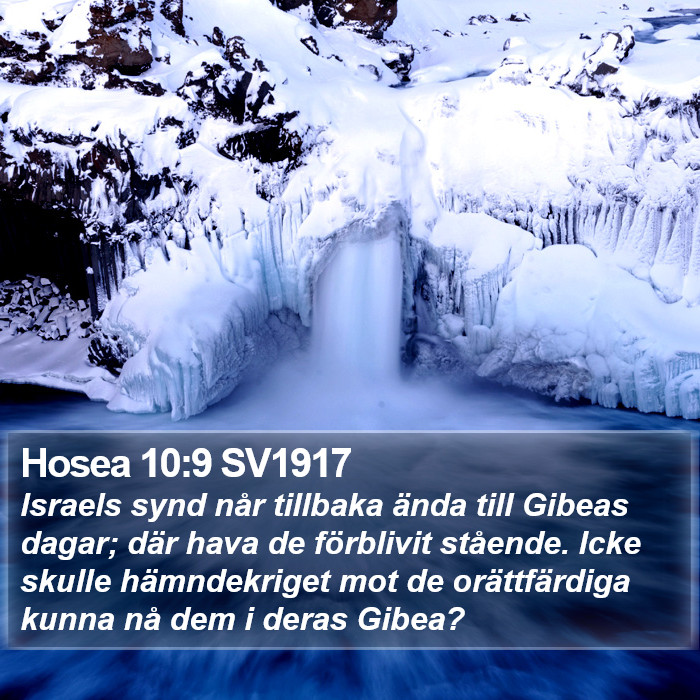 Hosea 10:9 SV1917 Bible Study