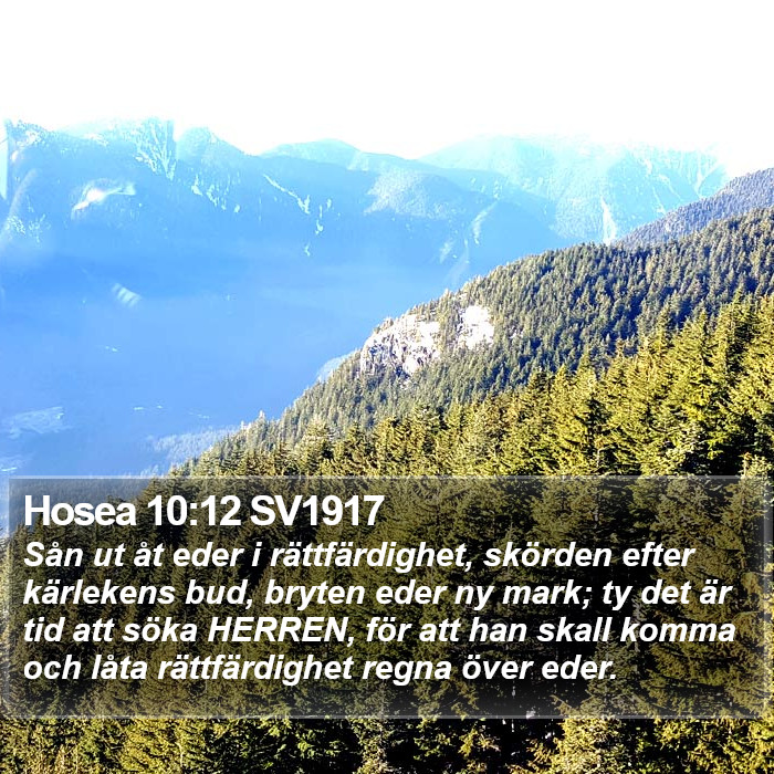 Hosea 10:12 SV1917 Bible Study