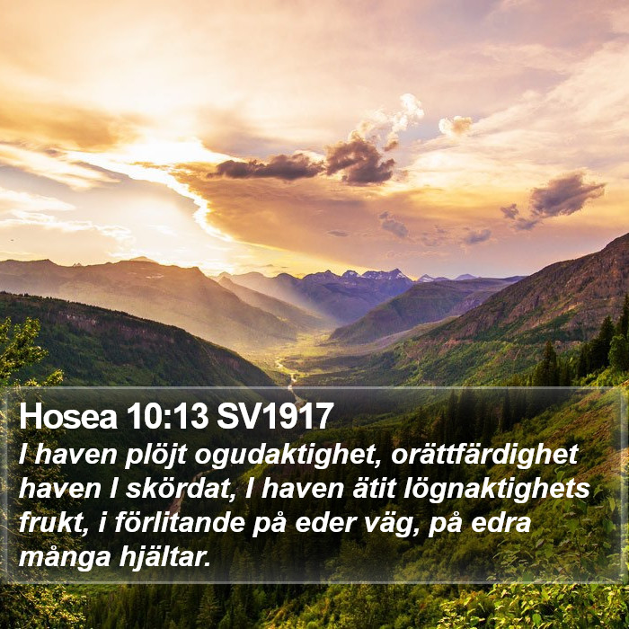 Hosea 10:13 SV1917 Bible Study