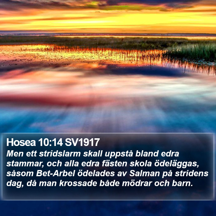 Hosea 10:14 SV1917 Bible Study