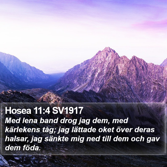 Hosea 11:4 SV1917 Bible Study