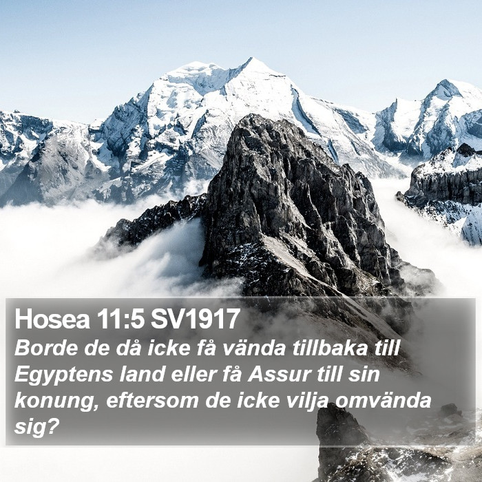 Hosea 11:5 SV1917 Bible Study