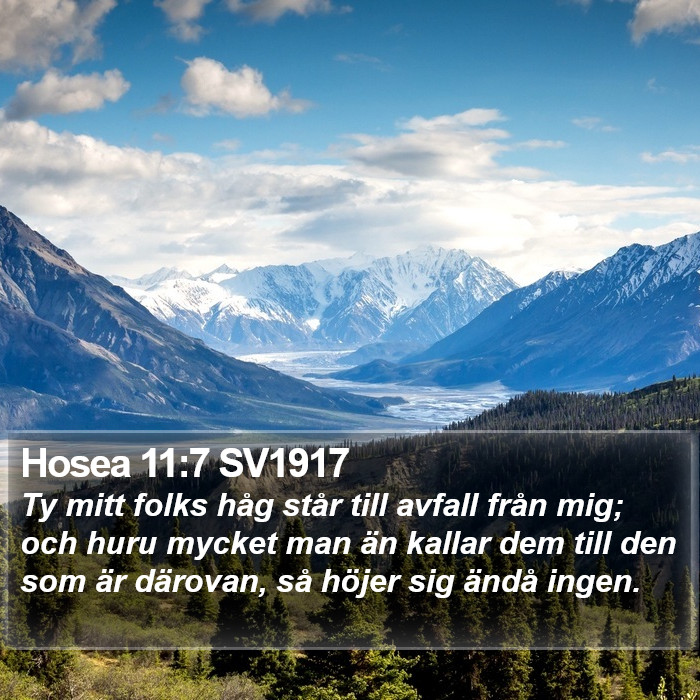 Hosea 11:7 SV1917 Bible Study