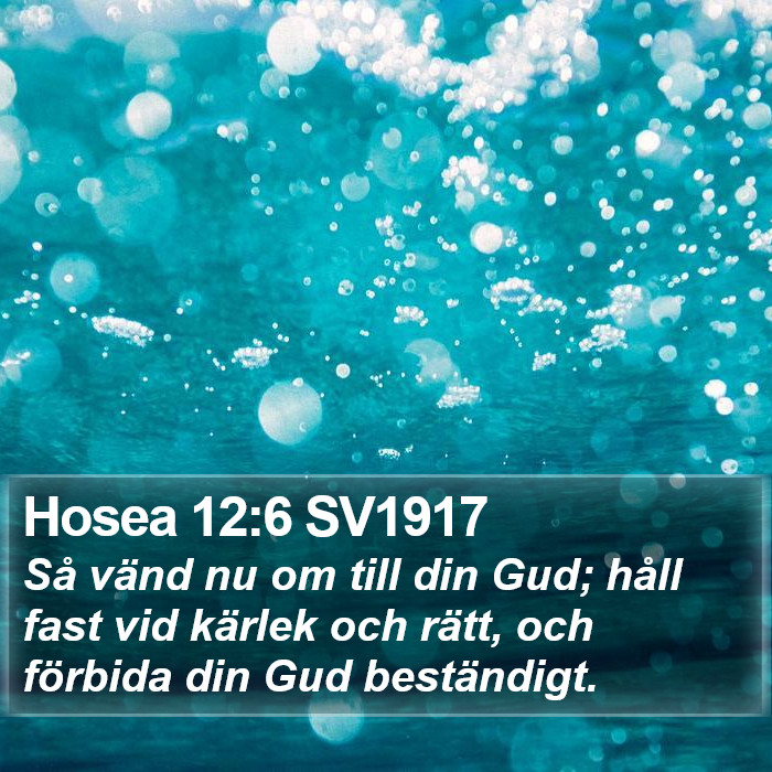 Hosea 12:6 SV1917 Bible Study