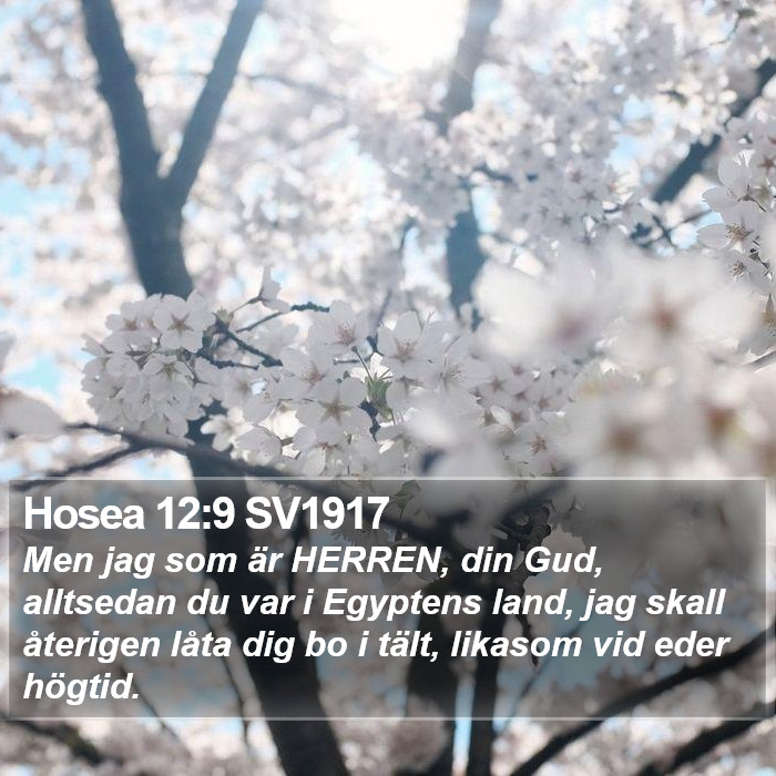 Hosea 12:9 SV1917 Bible Study
