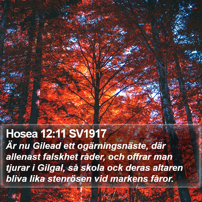 Hosea 12:11 SV1917 Bible Study