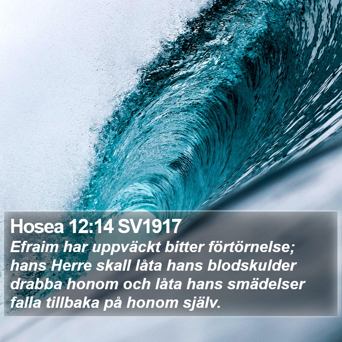 Hosea 12:14 SV1917 Bible Study