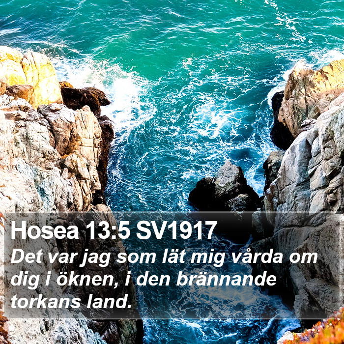 Hosea 13:5 SV1917 Bible Study