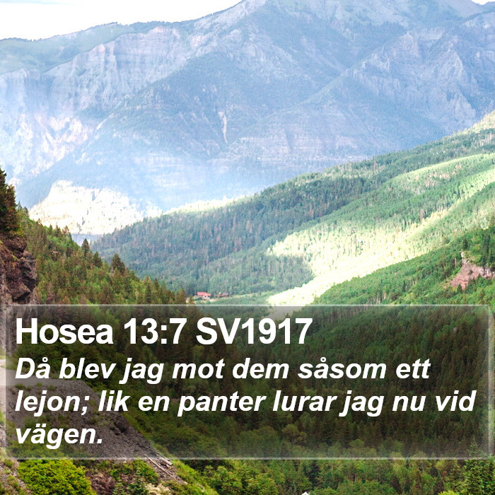 Hosea 13:7 SV1917 Bible Study