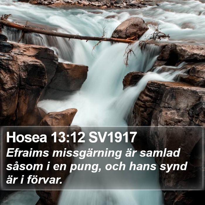 Hosea 13:12 SV1917 Bible Study