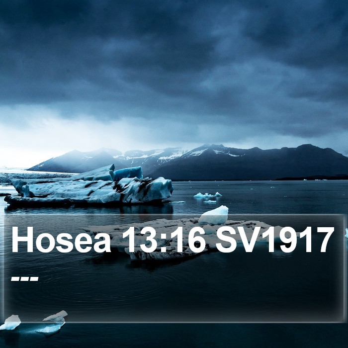 Hosea 13:16 SV1917 Bible Study