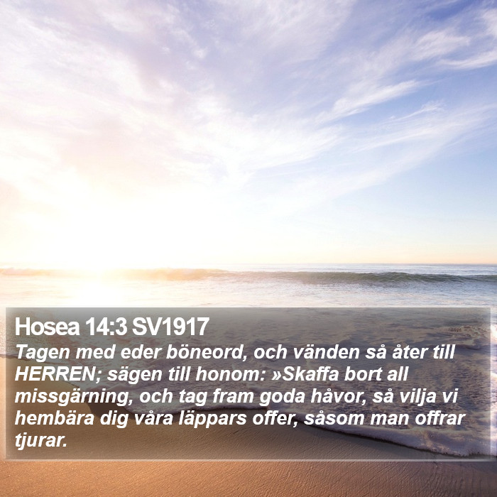 Hosea 14:3 SV1917 Bible Study