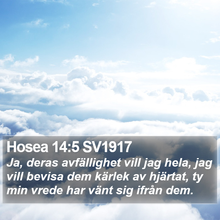 Hosea 14:5 SV1917 Bible Study