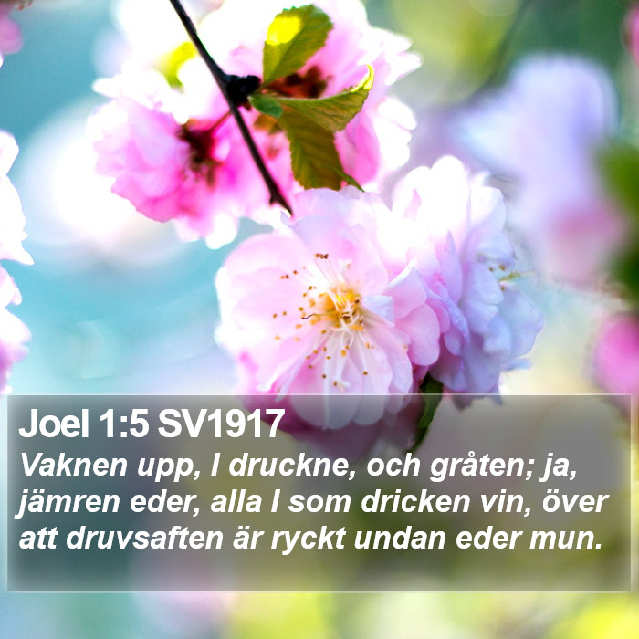 Joel 1:5 SV1917 Bible Study