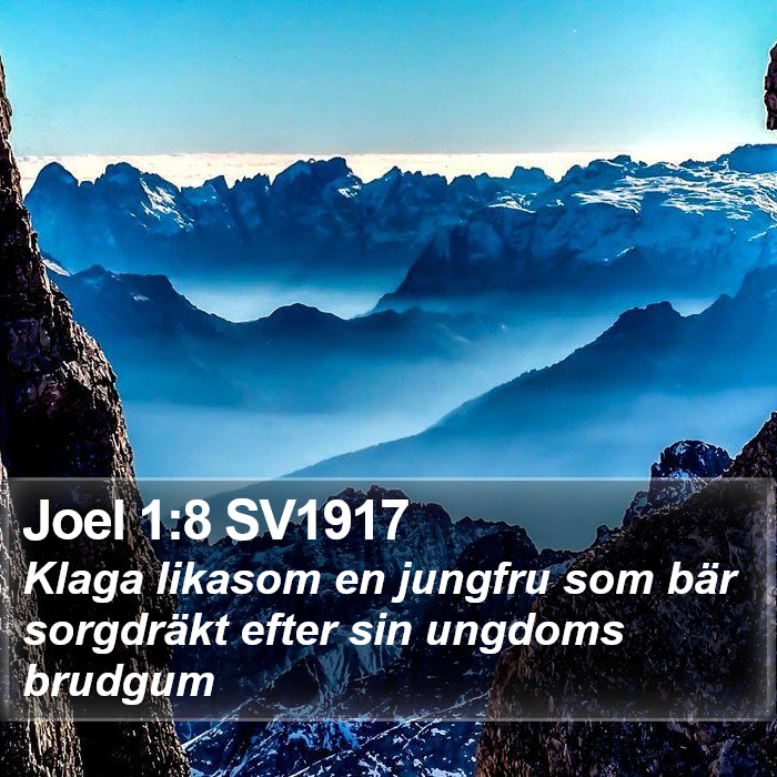 Joel 1:8 SV1917 Bible Study