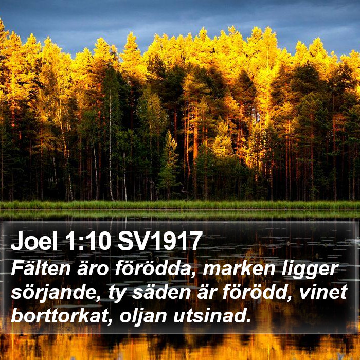 Joel 1:10 SV1917 Bible Study