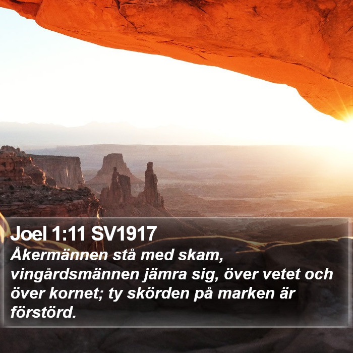 Joel 1:11 SV1917 Bible Study